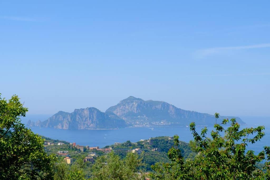 Domus Aqua Viva Villa Massa Lubrense Bagian luar foto