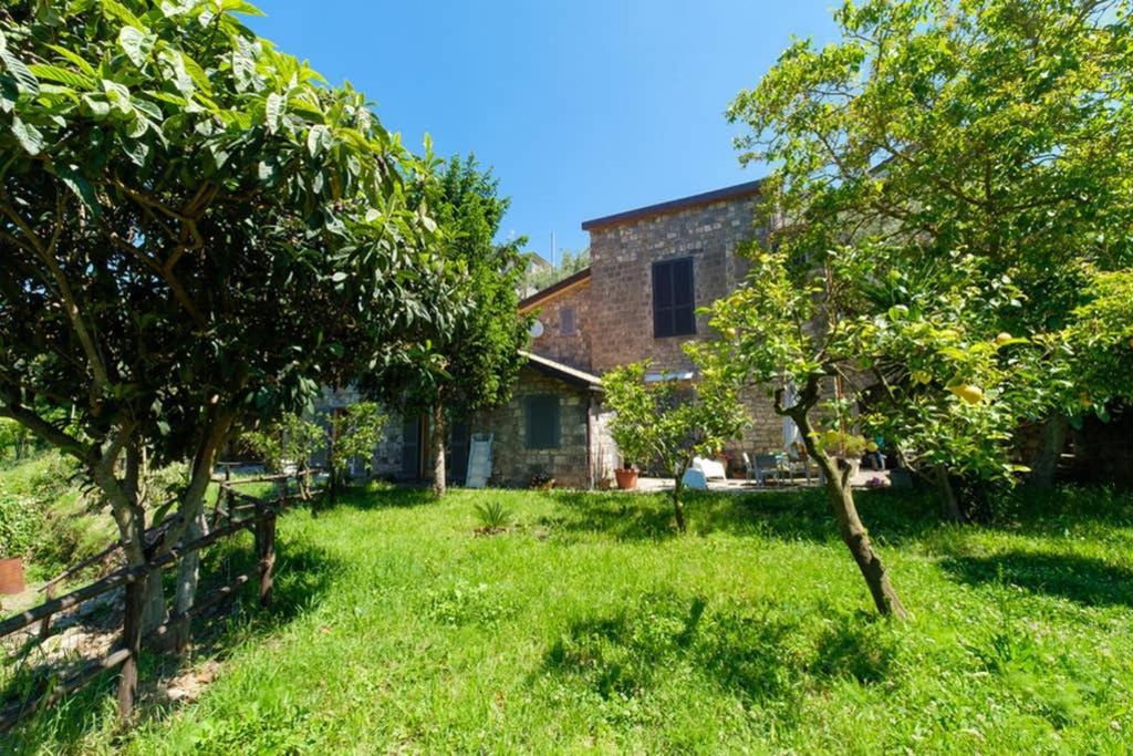 Domus Aqua Viva Villa Massa Lubrense Bagian luar foto