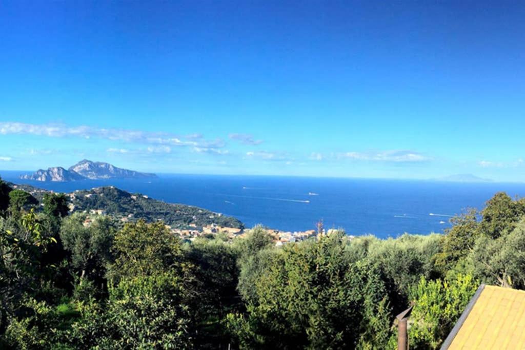 Domus Aqua Viva Villa Massa Lubrense Bagian luar foto